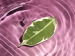 葉子,拖放,水