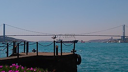 博斯普魯斯海峽,伊斯坦布爾,火雞