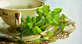 薄荷,薄荷茶,t恤