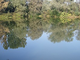 水,反射,樹(shù)