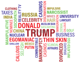 特朗普,唐納德·特朗普?,詞云