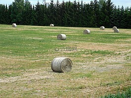 稻草包,秸稈,農(nóng)業(yè)