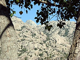 石,石頭山,佩德里薩