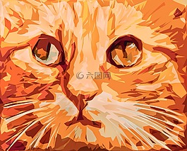 小猫,红发,宠物