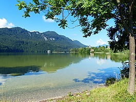 湖白湖,湖,水域
