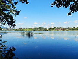 湖白湖,湖,水域