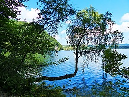 湖白湖,湖,水域