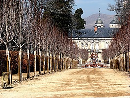 花園,雕塑,步行