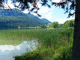 湖白湖,湖,水域