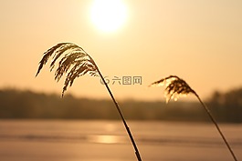 日出,太陽(yáng)能,冬天