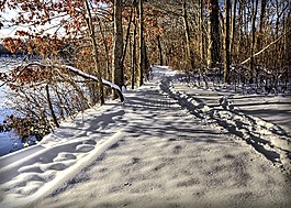 路徑,雪,軌道