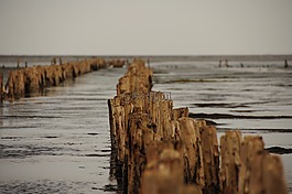 丹麦,römö,平房