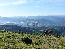 馬,山,徒步旅行