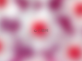 課程,豐富多彩,模式