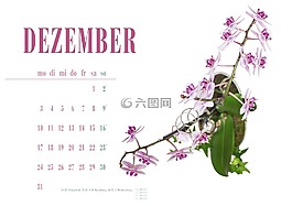 花,開花,紫
