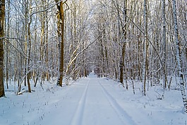 冬天,痕跡,雪