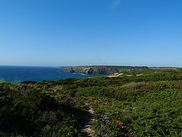 路径,海洋,自然