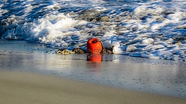 浮标,橙色,海