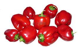 辣椒,蔬菜,食品
