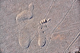 足踏,砂,海