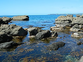 海洋,海,海灘