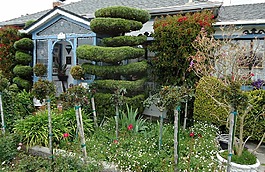 加利福尼亞州,花園,房子