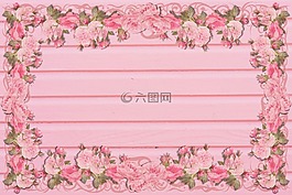 粉紅色,牡丹,大綱