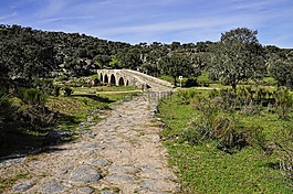 性質(zhì),景觀,橋