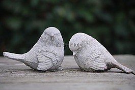 鳥,圖像,花園