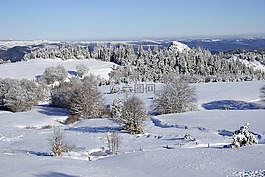 景观,雪,温特斯