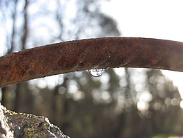雨滴,水,濕