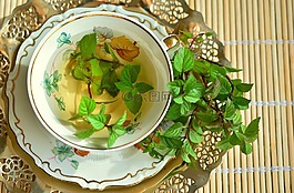 薄荷,薄荷茶,t恤