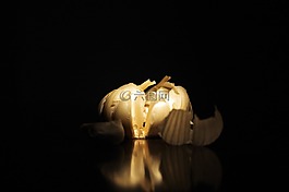 孤立,大蒜,燈泡