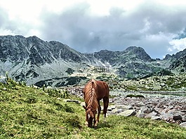 retezat,山,特兰西瓦尼亚