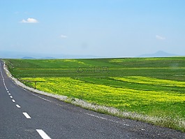 火雞,路,景觀