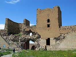 火雞,考古學(xué),夏季
