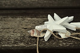 海星,外殼,木