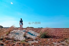 女子,女孩,夫人