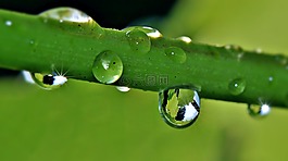 滴,雨滴,一滴水