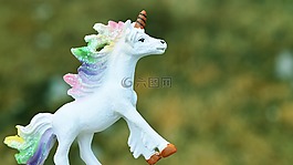 獨角獸,神話,馬