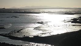 峨山路堤,潮汐,海