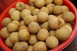 热带水果,杜浪塞,马来西亚