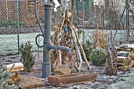 winterimpression,冬天,日出
