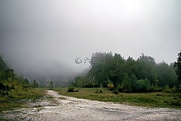 霧,森林,山