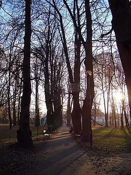 公園,胡同,日落