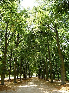 大道,促銷,陰影