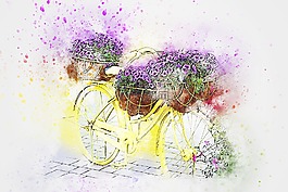 自行车,鲜花,艺术