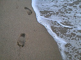 沙,海,海灘