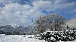 寒冬,新西蘭,景觀