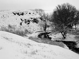 冬季,河,雪